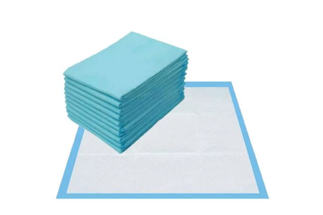 Dignity sheet